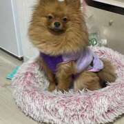 ヒメ日記 2026/01/31 18:45 投稿 あずさ☆超あたり！大当たり！！ JKサークル