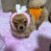 ヒメ日記 2026/02/12 03:30 投稿 あずさ☆超あたり！大当たり！！ JKサークル