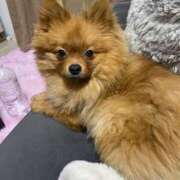 ヒメ日記 2026/02/15 17:30 投稿 あずさ☆超あたり！大当たり！！ JKサークル