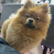 ヒメ日記 2026/02/18 15:01 投稿 あずさ☆超あたり！大当たり！！ JKサークル