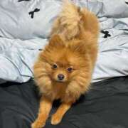 ヒメ日記 2026/02/19 19:02 投稿 あずさ☆超あたり！大当たり！！ JKサークル