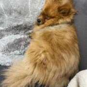 ヒメ日記 2026/02/20 22:01 投稿 あずさ☆超あたり！大当たり！！ JKサークル