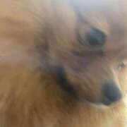 ヒメ日記 2026/02/23 20:02 投稿 あずさ☆超あたり！大当たり！！ JKサークル