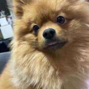 ヒメ日記 2026/03/01 00:15 投稿 あずさ☆超あたり！大当たり！！ JKサークル