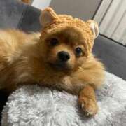 ヒメ日記 2026/03/03 20:03 投稿 あずさ☆超あたり！大当たり！！ JKサークル