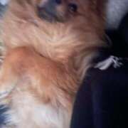 ヒメ日記 2026/03/10 20:02 投稿 あずさ☆超あたり！大当たり！！ JKサークル