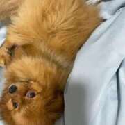 ヒメ日記 2026/03/12 02:00 投稿 あずさ☆超あたり！大当たり！！ JKサークル