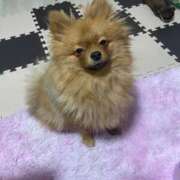 ヒメ日記 2026/03/12 20:31 投稿 あずさ☆超あたり！大当たり！！ JKサークル