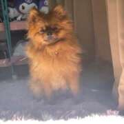 ヒメ日記 2026/03/19 17:15 投稿 あずさ☆超あたり！大当たり！！ JKサークル