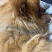 ヒメ日記 2026/03/20 01:24 投稿 あずさ☆超あたり！大当たり！！ JKサークル