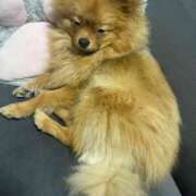 ヒメ日記 2026/04/02 15:01 投稿 あずさ☆超あたり！大当たり！！ JKサークル