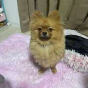 あずさ☆超あたり！大当たり！！ いい加減にして😂 JKサークル