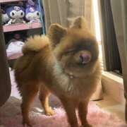 ヒメ日記 2026/06/10 08:01 投稿 あずさ☆超あたり！大当たり！！ JKサークル
