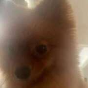 ヒメ日記 2026/08/12 04:00 投稿 あずさ☆超あたり！大当たり！！ JKサークル