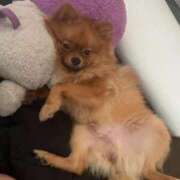 ヒメ日記 2026/08/31 16:12 投稿 あずさ☆超あたり！大当たり！！ JKサークル