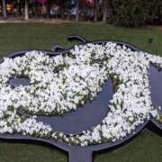 ヒメ日記 2025/01/09 09:40 投稿 まみ アクトレス(鶯谷)