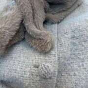 ヒメ日記 2025/01/18 13:27 投稿 まみ アクトレス(鶯谷)