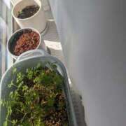 ヒメ日記 2025/02/20 23:13 投稿 まみ アクトレス(鶯谷)