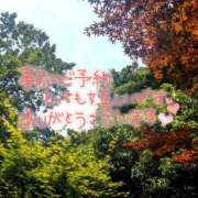 ヒメ日記 2025/06/02 14:30 投稿 まみ アクトレス(鶯谷)