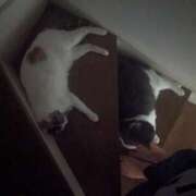 ヒメ日記 2025/07/28 09:43 投稿 まみ アクトレス(鶯谷)