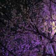 ヒメ日記 2025/04/05 22:58 投稿 新木景子 五十路マダム　和歌山店