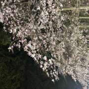 ヒメ日記 2025/04/06 08:28 投稿 新木景子 五十路マダム　和歌山店