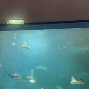 ヒメ日記 2025/05/18 22:34 投稿 新木景子 五十路マダム　和歌山店