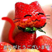 ヒメ日記 2025/06/05 17:02 投稿 新木景子 五十路マダム　和歌山店