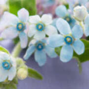 ヒメ日記 2025/07/24 18:14 投稿 新木景子 五十路マダム　和歌山店