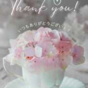 ヒメ日記 2025/11/11 15:18 投稿 新木景子 五十路マダム　和歌山店