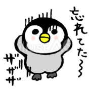 ヒメ日記 2025/11/16 13:58 投稿 新木景子 五十路マダム　和歌山店