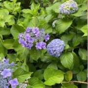 ヒメ日記 2025/06/24 00:21 投稿 ゆずは 野田デリヘル若妻淫乱倶楽部