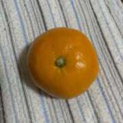 ヒメ日記 2025/01/02 21:36 投稿 ☆さあや☆ 100％本人が来る店！！デリヘル『ロイヤルフラッシュ』