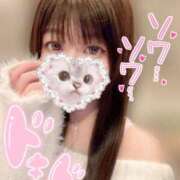 ヒメ日記 2025/03/22 17:03 投稿 りか BUNNY（バニー）十三店