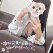 ヒメ日記 2025/04/06 07:15 投稿 りか BUNNY（バニー）十三店