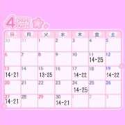 ヒメ日記 2025/04/10 15:13 投稿 りか BUNNY（バニー）十三店