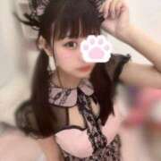 ヒメ日記 2024/12/12 13:00 投稿 にゃん☆ニャンとも可愛い JKサークル