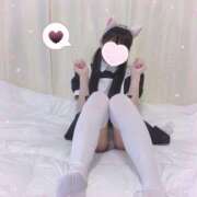 ヒメ日記 2025/03/13 10:47 投稿 にゃん☆ニャンとも可愛い JKサークル