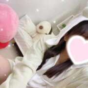 ヒメ日記 2025/04/22 16:15 投稿 にゃん☆ニャンとも可愛い JKサークル