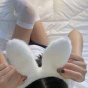 ヒメ日記 2025/06/05 11:45 投稿 にゃん☆ニャンとも可愛い JKサークル