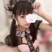 ヒメ日記 2025/06/26 12:16 投稿 にゃん☆ニャンとも可愛い JKサークル