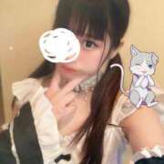 ヒメ日記 2025/06/26 19:01 投稿 にゃん☆ニャンとも可愛い JKサークル