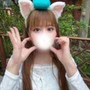 ヒメ日記 2025/07/04 08:44 投稿 にゃん☆ニャンとも可愛い JKサークル