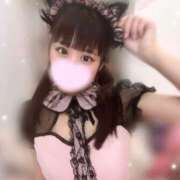 ヒメ日記 2025/07/04 15:01 投稿 にゃん☆ニャンとも可愛い JKサークル