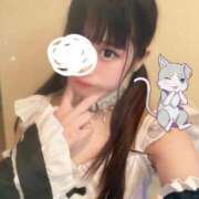 ヒメ日記 2025/07/06 15:02 投稿 にゃん☆ニャンとも可愛い JKサークル