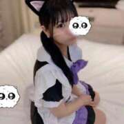 ヒメ日記 2025/07/12 21:15 投稿 にゃん☆ニャンとも可愛い JKサークル