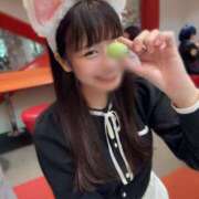 ヒメ日記 2025/07/27 00:24 投稿 にゃん☆ニャンとも可愛い JKサークル