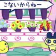 ヒメ日記 2025/08/24 18:30 投稿 にゃん☆ニャンとも可愛い JKサークル