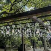 ヒメ日記 2025/08/25 07:00 投稿 にゃん☆ニャンとも可愛い JKサークル