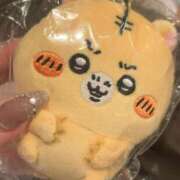 ヒメ日記 2025/08/27 20:02 投稿 にゃん☆ニャンとも可愛い JKサークル